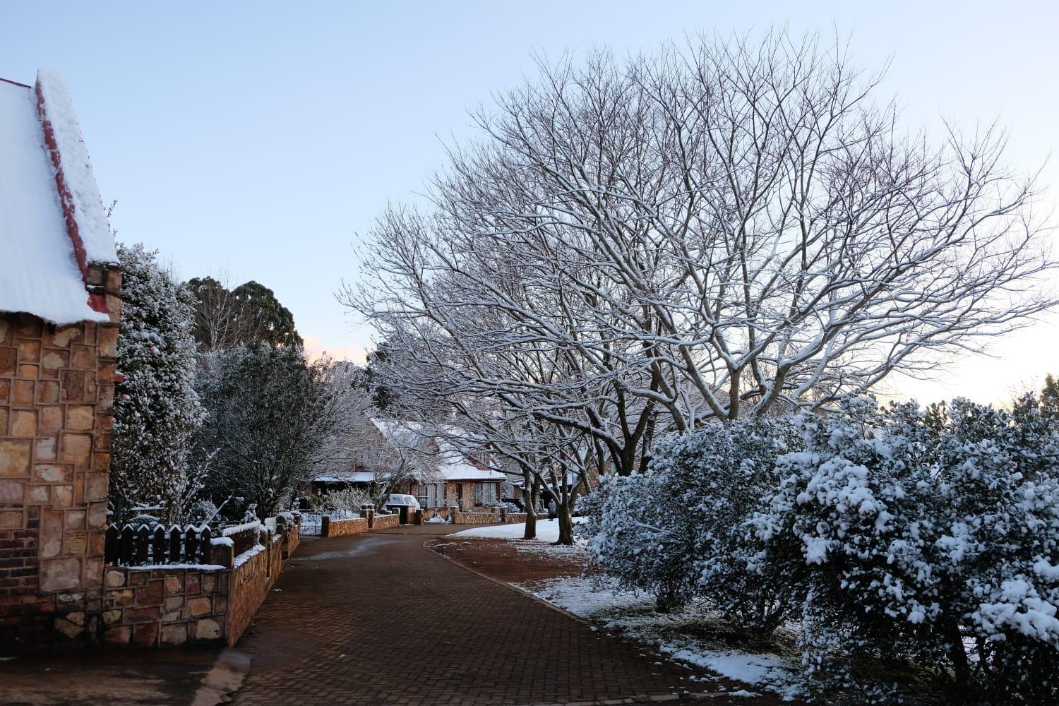 Dullvino Cottage No 15 At Critchley Dullstroom Exterior photo